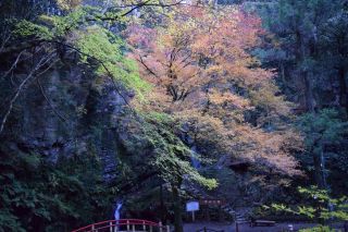 黒山三滝（県立黒山自然公園）の紅葉写真１