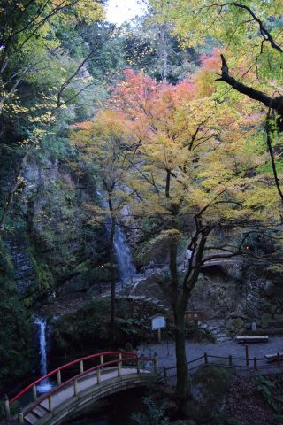 黒山三滝（県立黒山自然公園）の紅葉写真２