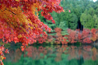 伊奈ヶ湖の紅葉写真１