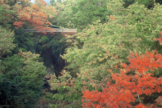 甲斐の猿橋の紅葉の写真３