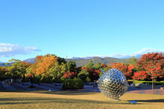 芸術の森公園（山梨県立美術館）の紅葉写真１