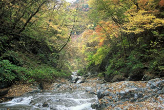 石空川渓谷の紅葉写真１