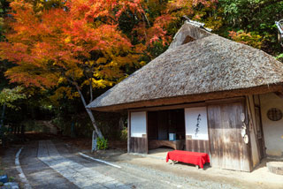 熊野古道沿い（とがの木茶屋周辺、発心門王子）の紅葉写真２