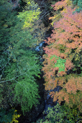 安川渓谷の紅葉写真１