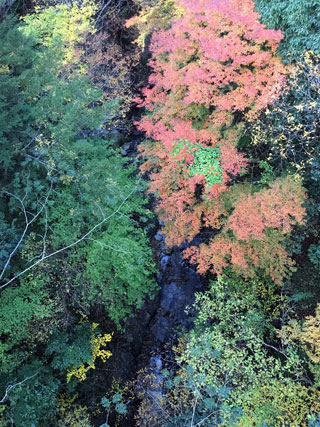 安川渓谷の紅葉写真２