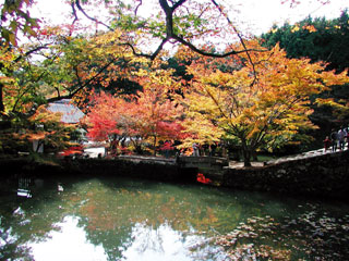 永谷山 円通寺の紅葉写真１