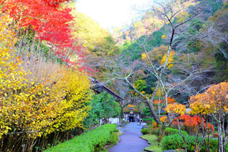 生野銀山の紅葉写真１
