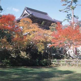 末代山 温泉寺の紅葉写真１
