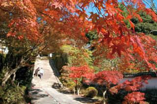 満願寺の紅葉写真１