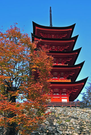豊国神社 五重塔の紅葉写真２