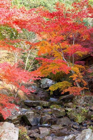 三郎の滝の紅葉写真２