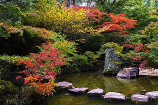 みやま公園の紅葉写真１