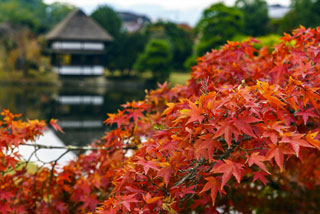 衆楽園（旧津山藩別邸庭園）の紅葉写真１