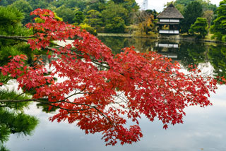 衆楽園（旧津山藩別邸庭園）の紅葉写真２
