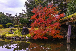 衆楽園（旧津山藩別邸庭園）の紅葉の写真３