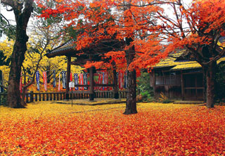 木山寺の紅葉写真１