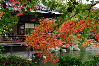 友泉亭公園の紅葉の写真３
