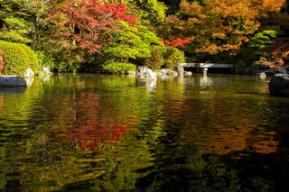友泉亭公園の紅葉の写真４