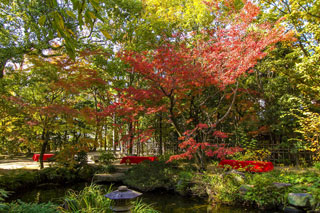 楽水園の紅葉写真１