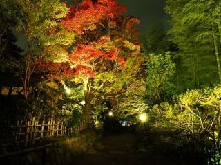 京王百草園の紅葉写真１