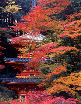 岩船寺の紅葉写真１