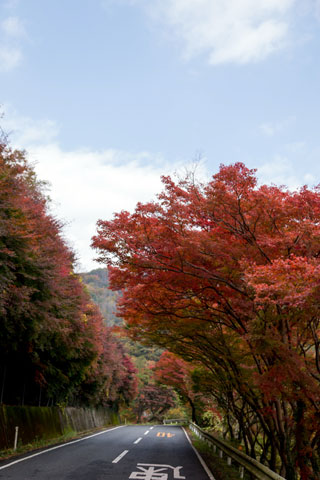 鬼ヶ嶽の紅葉の写真３