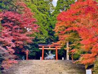 霧島神宮の紅葉写真2