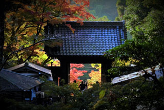 円覚寺の紅葉写真１
