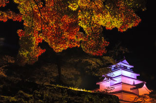 鶴ヶ城公園の紅葉の写真３