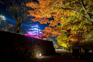 鶴ヶ城公園の紅葉の写真４