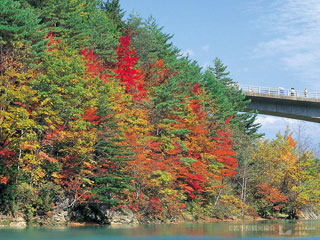 松川渓谷（森の大橋）の紅葉写真１