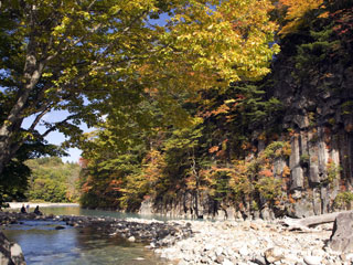 松川渓谷（森の大橋）の紅葉写真２