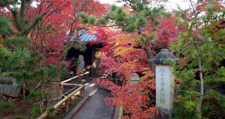 松山庭園美術館の紅葉写真１