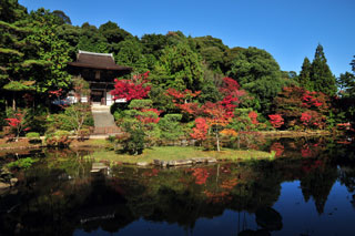 円成寺の紅葉写真１