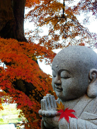 永源寺の紅葉の写真４