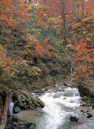 神通狭（山形県）の紅葉写真１