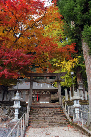 田口水分神社の紅葉写真１
