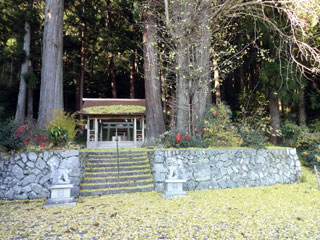 白鳥神社の紅葉写真１