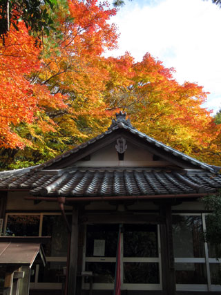 平井大師寺の紅葉写真１