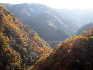 滝川渓谷の紅葉の写真３