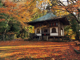 金蔵寺の紅葉写真１