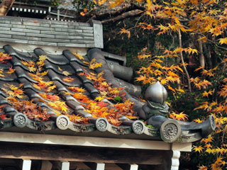 金蔵寺の紅葉の写真４