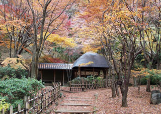 七沢森林公園の紅葉写真１