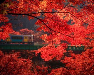 矢祭山公園の紅葉写真１