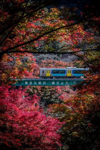 矢祭山公園の紅葉写真２