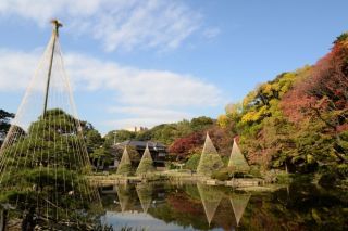 肥後細川庭園の紅葉の写真４