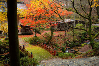 両界山横蔵寺の紅葉写真２