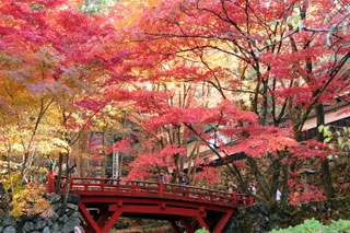 両界山横蔵寺の紅葉の写真３