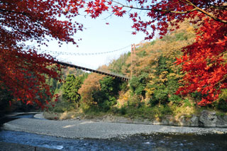 多良峡の紅葉写真１