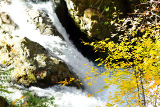 小坂の滝めぐりの紅葉写真２